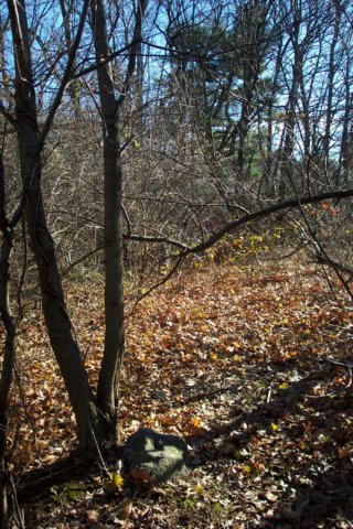 mypictures0032.jpg